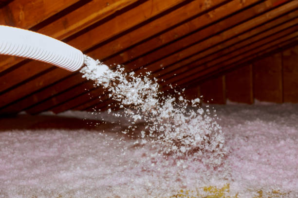 Best Blown-in Insulation in Chesapeake, WV