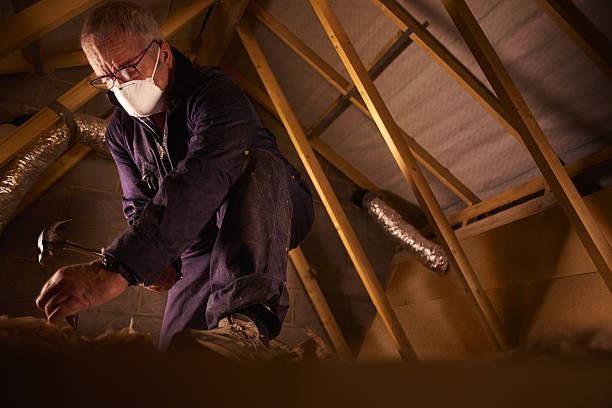 Best Eco-Friendly Insulation in Chesapeake, WV